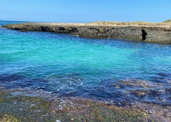 公寓 Dimora Bonasforza Luxury 奥斯图尼